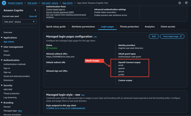 OpenID scopes - openid, email, profile